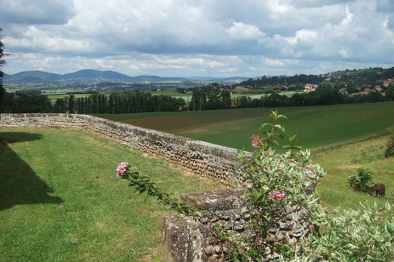 2011-05- (557).JPG - Im Hintergrund die westlich der Rhône liegenden Höhen des Naturparks Pilat